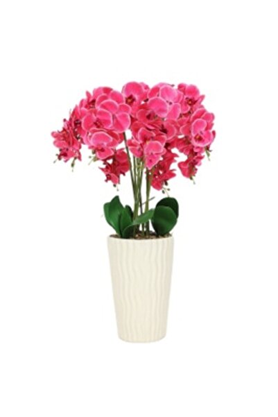 SHOPIENS Photo frame 3392-1312T 46, rectangular, 15 x 10 cm, cream, plastic