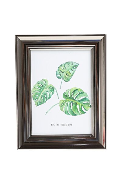 SHOPIENS Photo Frame 365-GM 1 57, Rectangular, 18 x 13 cm, Silver, Plastic