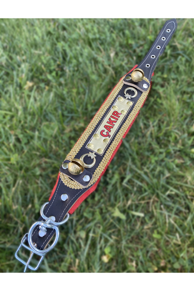 Sürmeli Tasma Yavru Kangal Tasması İsteğinize Özel İsimli Hakiki Deri 2 Zilli 60 Cm