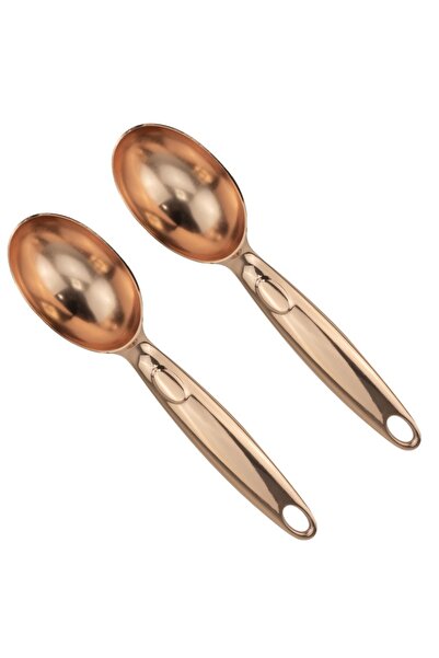Raki Set of 2 ice cream spoons 17x4cm, copper look