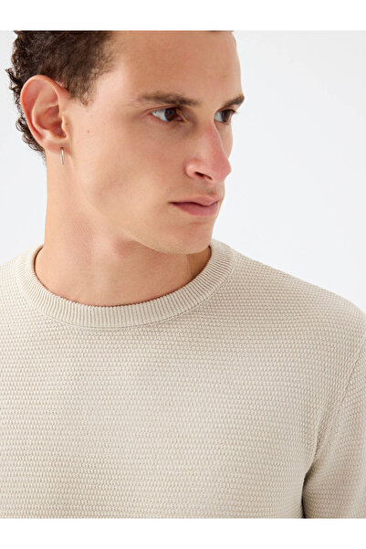 Loft Regular Fit Stone Men's Sweater Lf2040477
