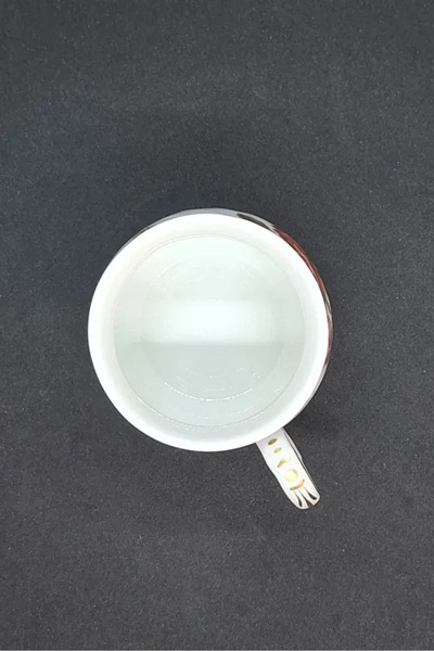 ABBETC Richard Ginori Italian Vintage Teacup / Porcelain Mug 1 Piece 150 ml