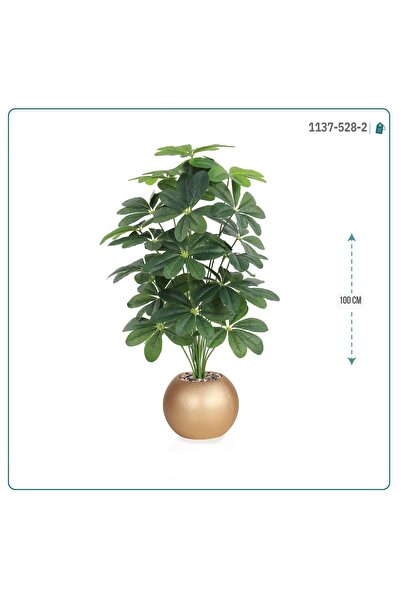 MARINO Mango Leaf Tree - Height 100 cm