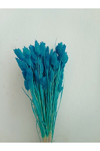 Esse Bahçe Kuruçiçek Kuş Otu (phalaris) MAVİ