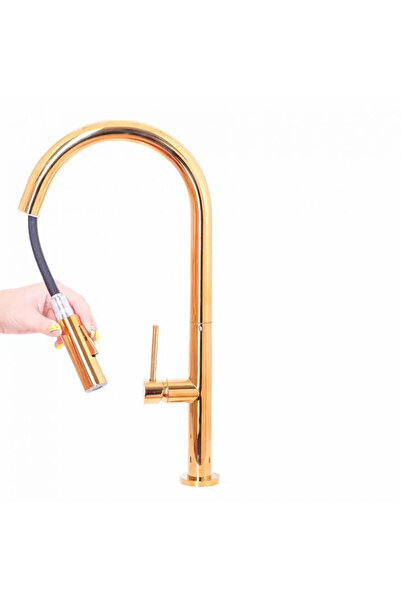 Alessandro DESIGN Baterie Bucatarie cu Dus Extractibil, Alama Sanitara, Auriu, CF 2043