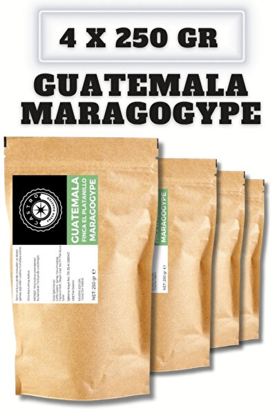 Guatemala Maragogype Kahve 1000 Gr. (4x250Gr)