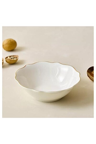 The comprehensive house Acrylic serving and storage tray