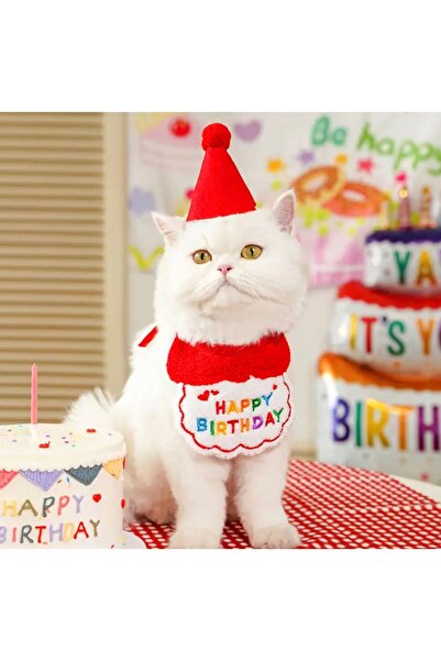 Payidar Hediyelik KEDİ/KÖPEK DOĞUM GÜNÜ PARTİ KIYAFETİ/AKSESUARI (Şapka ve Önlük) Evcil Hayvan Doğum Günü Sürprizi