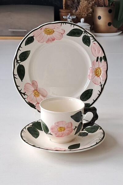 Villeroy & Boch Wild-Rose Hand-Painted Antique German Porcelain 3 Pieces Tea Cup 175 ml