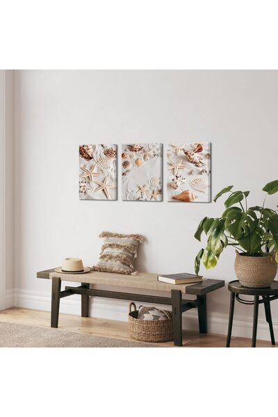 ALAYRA International 3-Piece Seashell Canvas Wall Art – 30x40 cm Coastal Star...