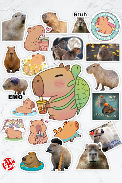 ZipZap Capybara kapibara Telefon Laptop Bullet Journal Yapışkanlı Folyo Stick...