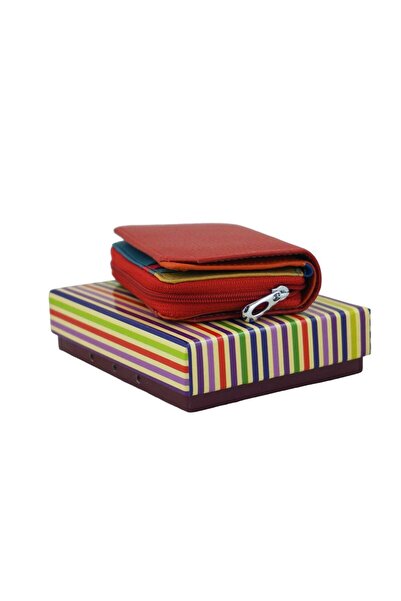 Barberini's D83041356436