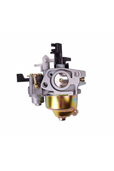 China Zongshen 168FB Carburator