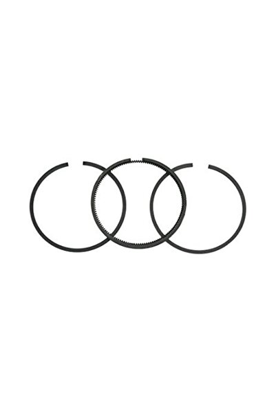 TAIWAN Set segmenti motor Briggs & Stratton 493261