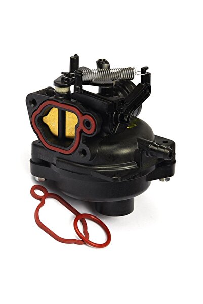 FARMER TECH Carburator 799584 Briggs&Stratton