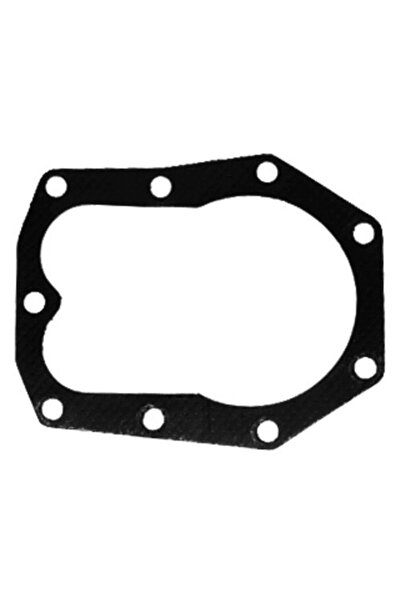 TAIWAN Garnitură chiulasă compatibilă cu Briggs & Stratton 251400, 251700, 25...