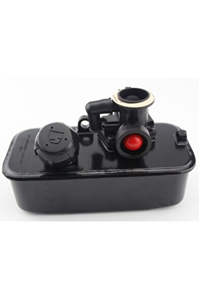 TAIWAN Rezervor și carburator Briggs & Stratton 494406, 498809