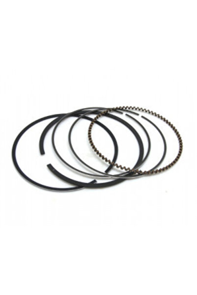 ZONGSHEN Segment motor XP420 90 mm