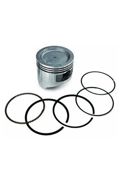 China Piston motor vertical LC1P61FA Ø 61mm