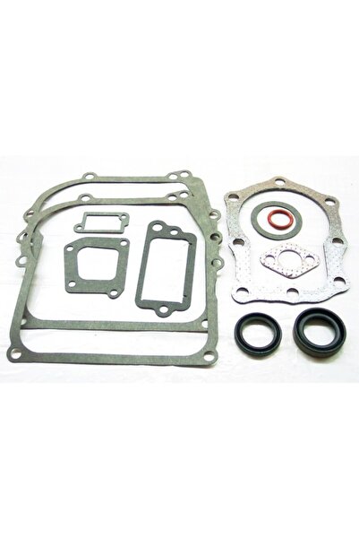 TAIWAN Set garnituri motor Briggs & Stratton (Seriile 110900, 111900) 4 CP