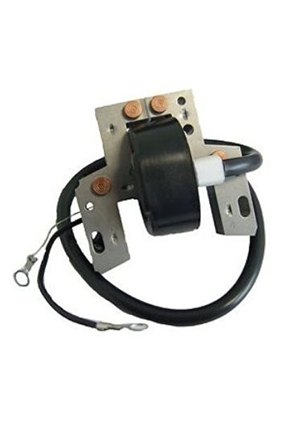 TAIWAN Sistem aprindere Briggs&Stratton 7 - 16cp 298968