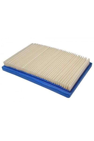 TAIWAN Filtru de aer Briggs & Stratton / John Deere 2T