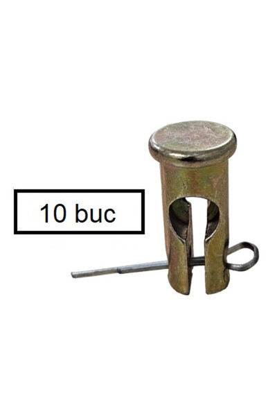 China Set de șuruburi și bolțuri de forfecare pentru motosapă (10 x 24 mm) 10 bucăți