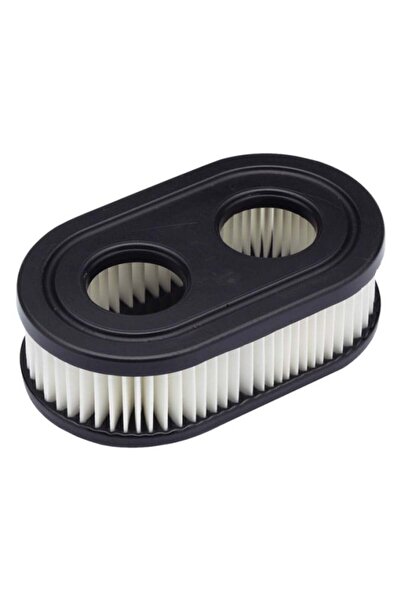 TAIWAN Filtru de aer Briggs & Stratton Quantum