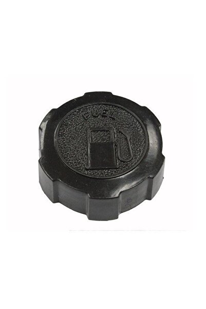 TAIWAN Capac rezervor combustibil compatibil Briggs Stratton 397974