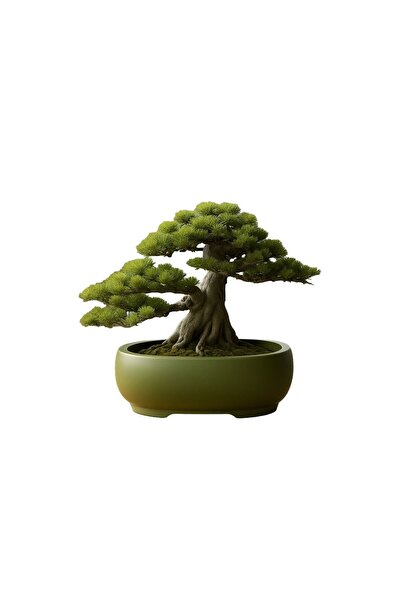 Fibrika Store Verdant Saksı – Modern Tasarım