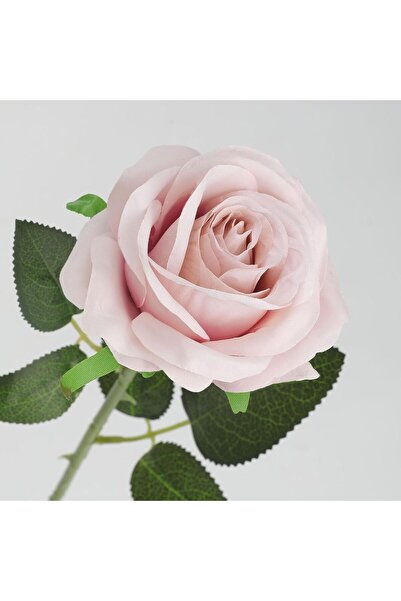 ALAYRA International ALAYRA 10pcs Artificial Beige Roses – Silk 51x11 cm for Home, Wedding & Party