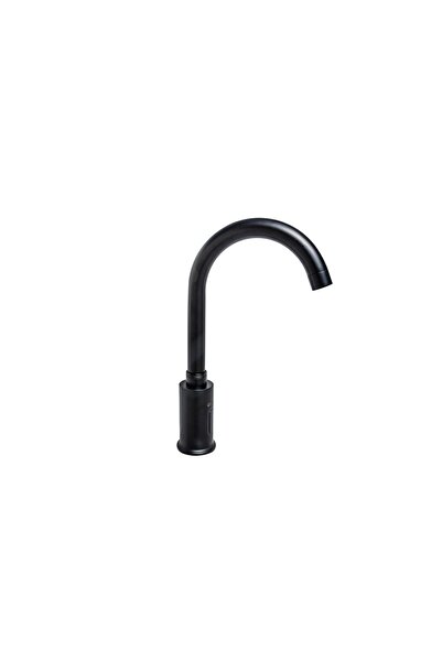 Trendy's Kitchen faucet with matte black sensor