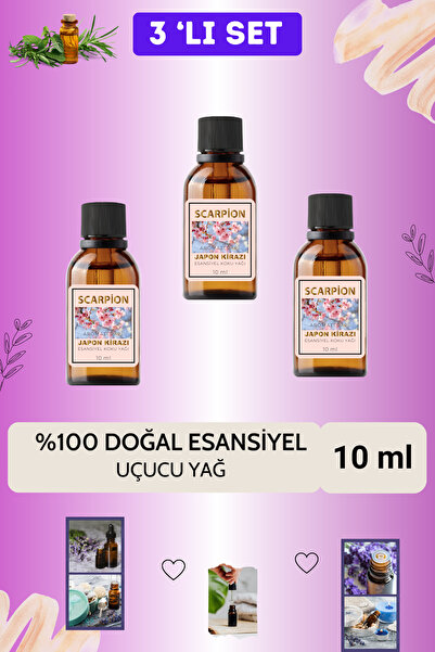 SCARPİON JAPON KİRAZI Uçucu Buhur Yağı Hava Nemlendiriciler için Buhurdanlık ...