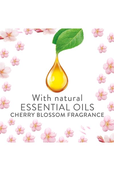 Air Wick Scented Oil Diffuser Refill - Cherry Blossom, 19 ml