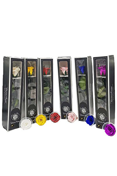 velve Trandafir Criogenat cu tija, 30 cm, Alb