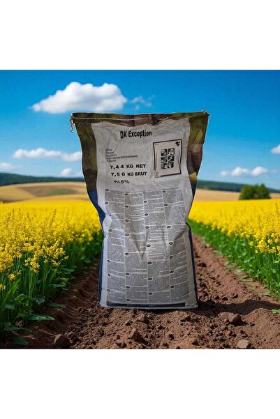 DEKALB EXCEPTİON HİBRİT KANOLA TOHUMU