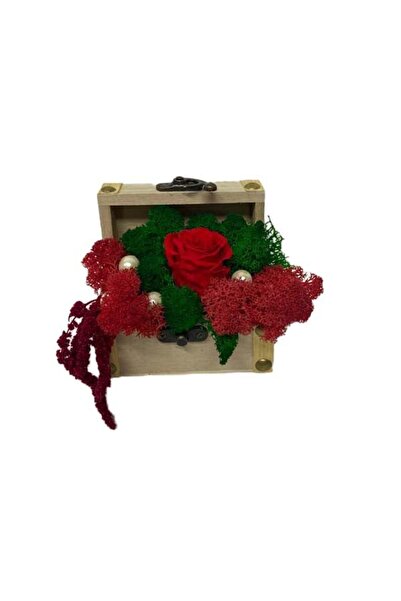 velve Aranjament floral cu trandafir criogenat, in cutiuta tip cufar, rosu, 8...