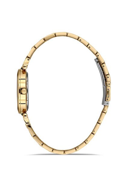 Dice Kayek Dk.1.Ag1399.05 Stone Design Dial Steel Band Steel Case 5 Atm Water Resistant