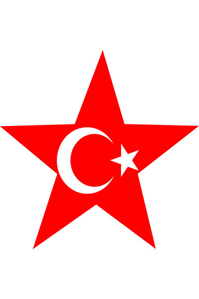 TELLGRAF ملصق بتصميم علم النجمة (4×4 سم، 24 قطعة)