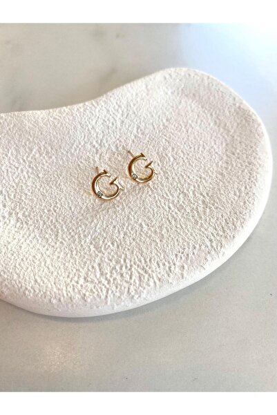 Lilyum Aksesuar Minik Zirkon Taş Detaylı G HARFİ Sarı Altın Rose Gold Renk Özel Seri Çelik Küpe (1 ÇİFT)