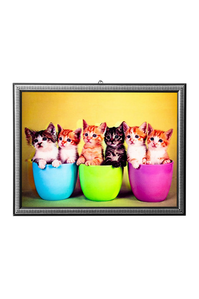 İZMİR ASKERİ MALZEME 5d recine elmas boyama 180° hareketli 6 li sevimli kedil...