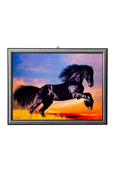 İZMİR ASKERİ MALZEME 5d recine elmas boyama 180° hareketli saha kalkan at cer...