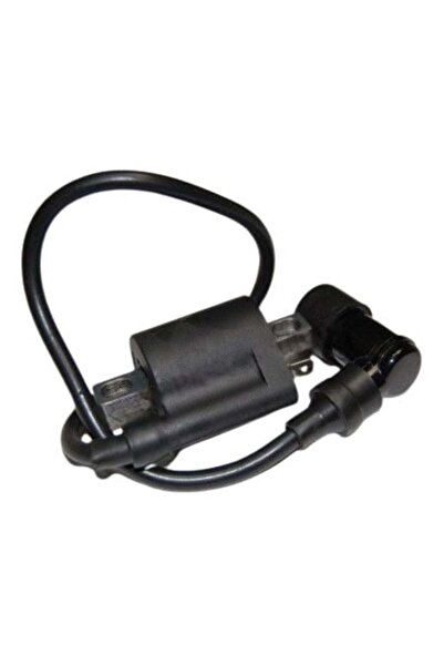 China Bobină de inducție scuter 2T Yamaha, Minareli / ATV