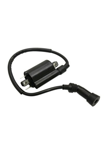 China Bobina de inducție ATV Linhai model 2