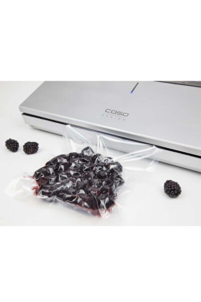 CASO Germany Aparat de vidat, Caso Germania, Gourmet VAC 480, vid uscat/umed/marinat, oțel inoxidabil