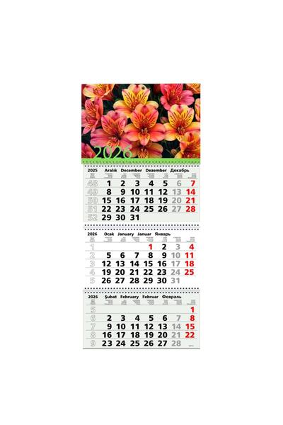 Gıpta 2026 Bristol Gemici Takvimi 33x78 36 Sayfa 805-BRS