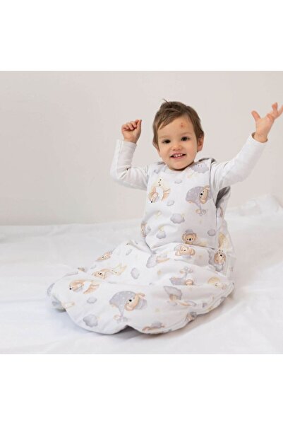 Kidizi Sleeping Bag for Kids 3-18 Months Koala Dreams, 1 Tog