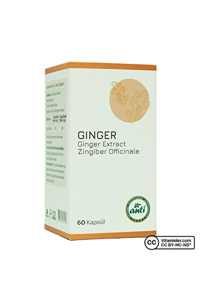 Anti Natural Anti Zencefil Ekstresi 60 Kapsül