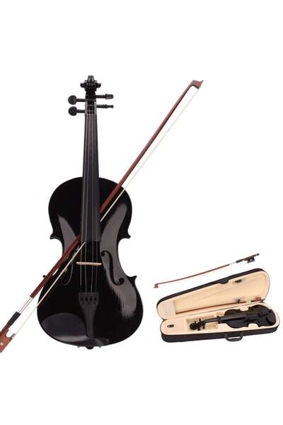 Depox Classical violin, Wood, Size 4/4, 1 bow 1/2 and a bow 4/4, case included