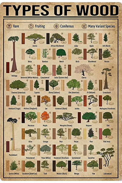 TELLGRAF ملصق بتصميم الأشجار (21x30 سم)